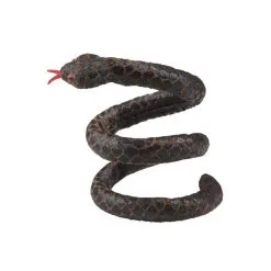 Accessoire De Bras Serpent