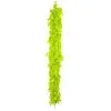 Boa Plumes 1m80 50gr Vert Pomme