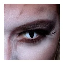 Lentilles 3 Mois Chat