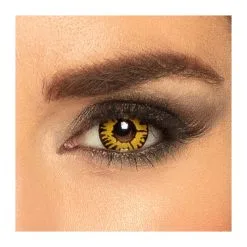 Lentilles De Semaine Twilight