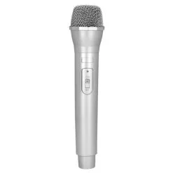 Microphone Argent (23.5 Cm)