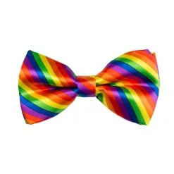 Noeud Papillon Arc-en-ciel