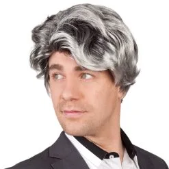 Perruque Bill - Gris/Noir DESTOCKAGE