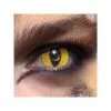 Pr. Lentilles De Semaine Chat Sauvage